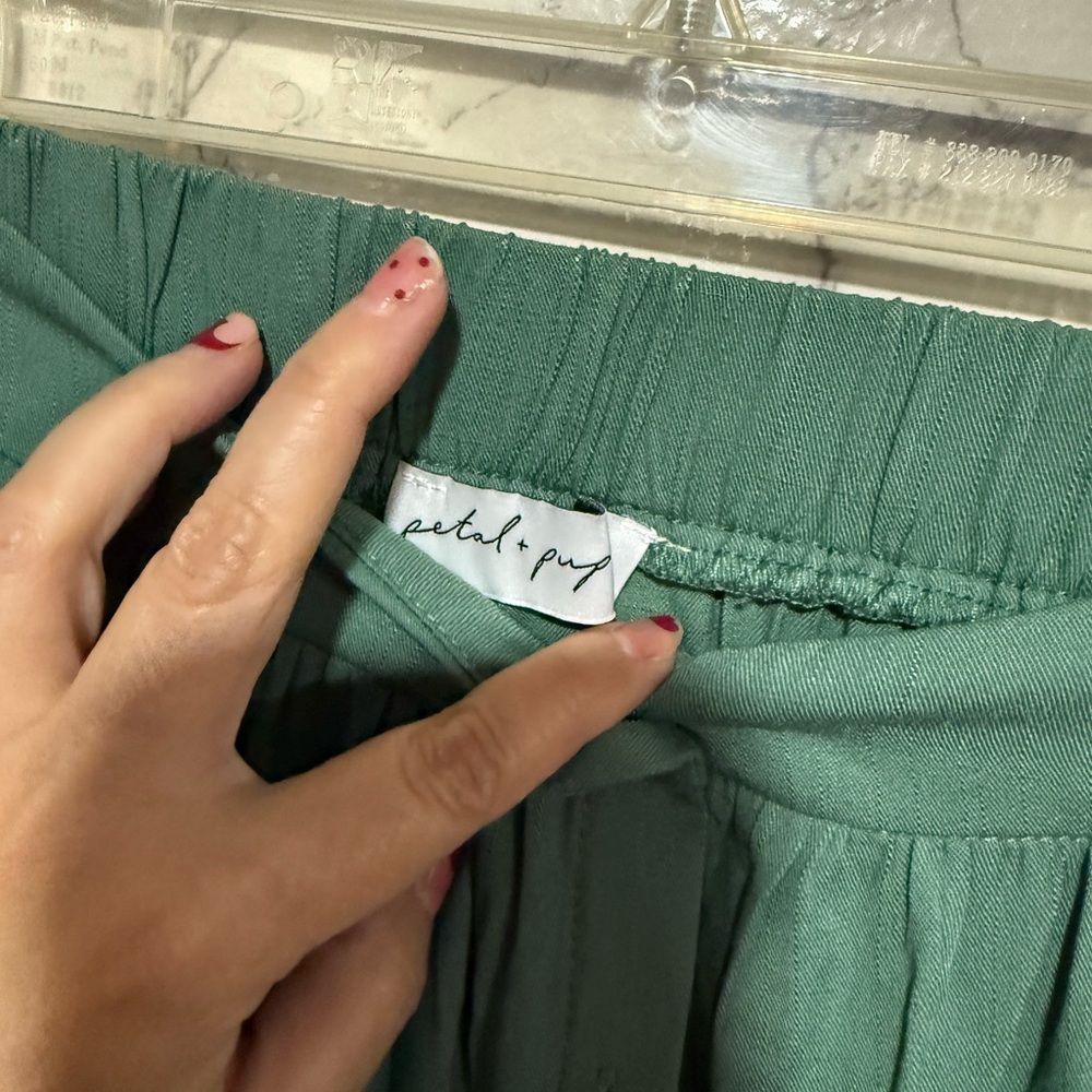 NEW Petal & Pup Ava Button Front Midi Skirt Green Size 0 - Picture 8 of 11